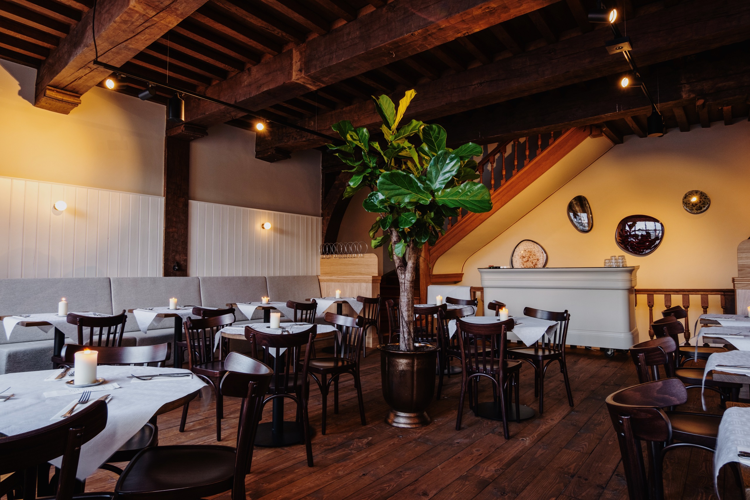 Gezellige eetkamer met houten tafels, kaarsen, grote groene plant, houten balken en warme verlichting.
